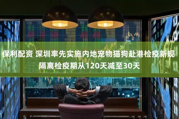 保利配资 深圳率先实施内地宠物猫狗赴港检疫新规 隔离检疫期从120天减至30天