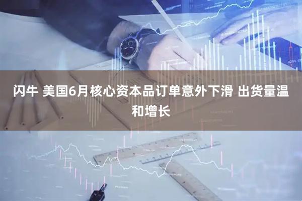 闪牛 美国6月核心资本品订单意外下滑 出货量温和增长