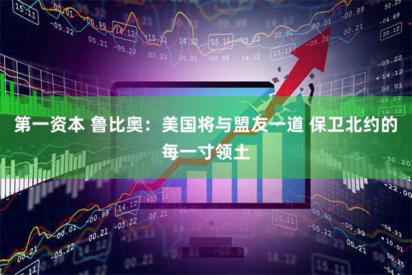 第一资本 鲁比奥：美国将与盟友一道 保卫北约的每一寸领土