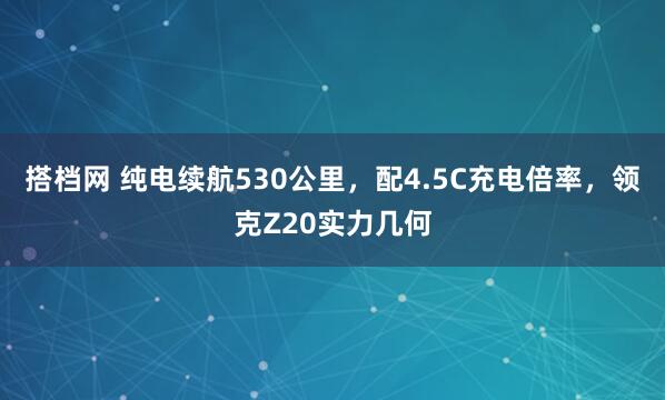 搭档网 纯电续航530公里，配4.5C充电倍率，领克Z20实力几何